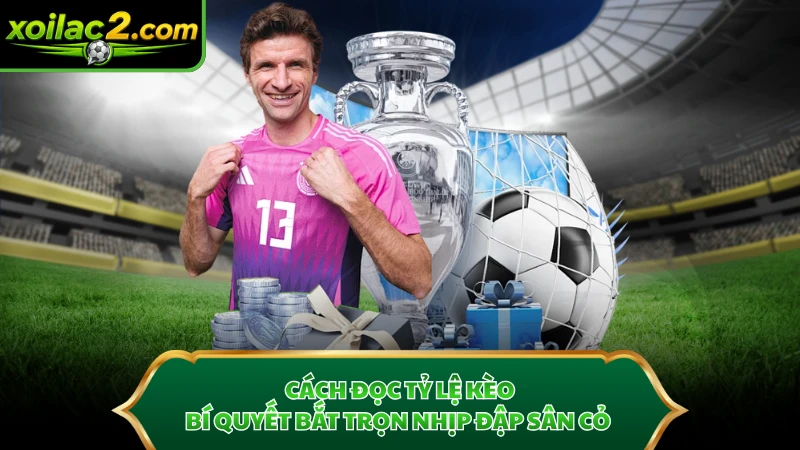 Cách Đọc Tỷ Lệ Kèo