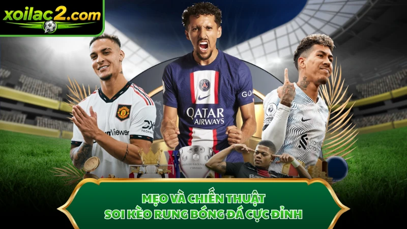Mẹo và chiến thuật soi kèo rung bóng đá cực đỉnh.